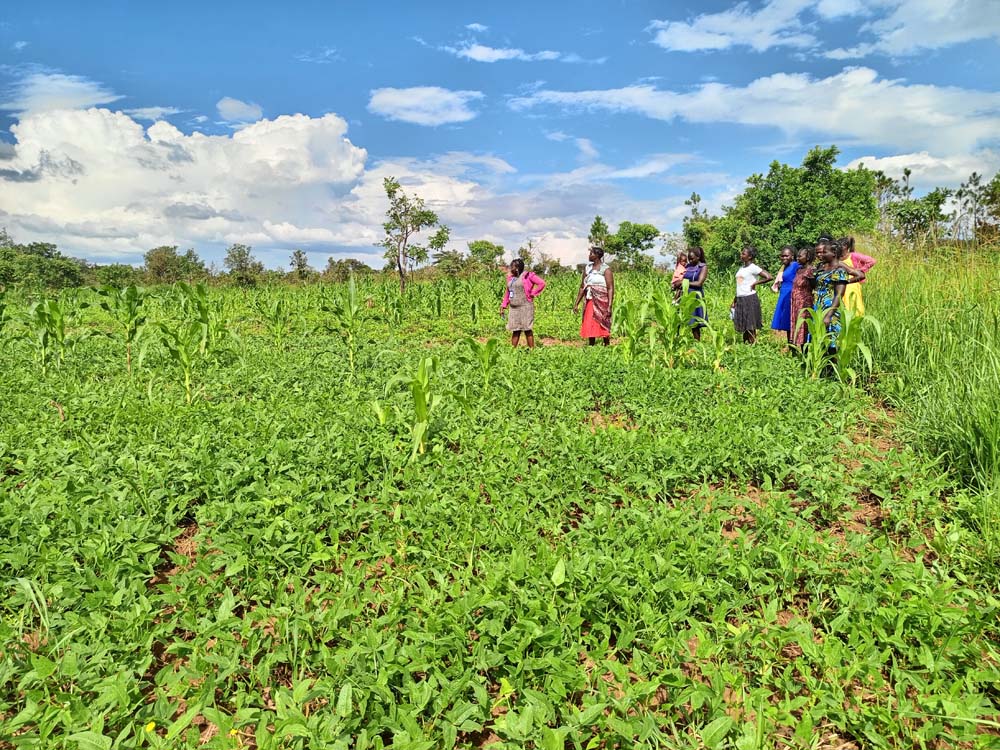 Agriculture